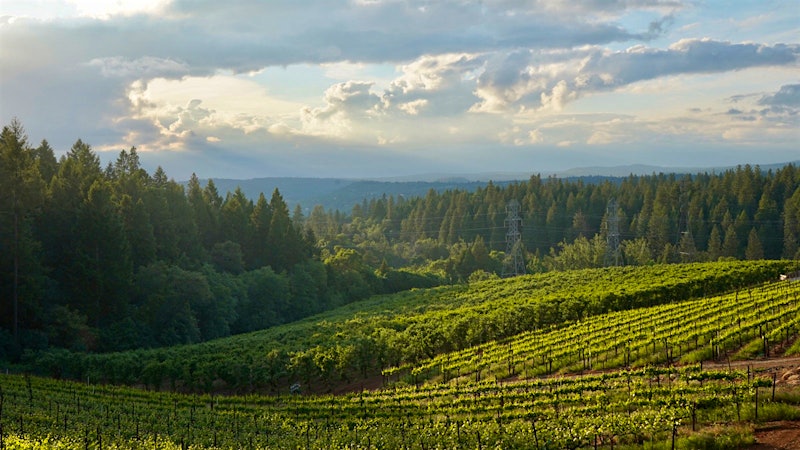 Walkin’ Pies and Alpine Wines
