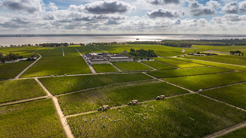 Alphabetical Guide to 2023 Bordeaux