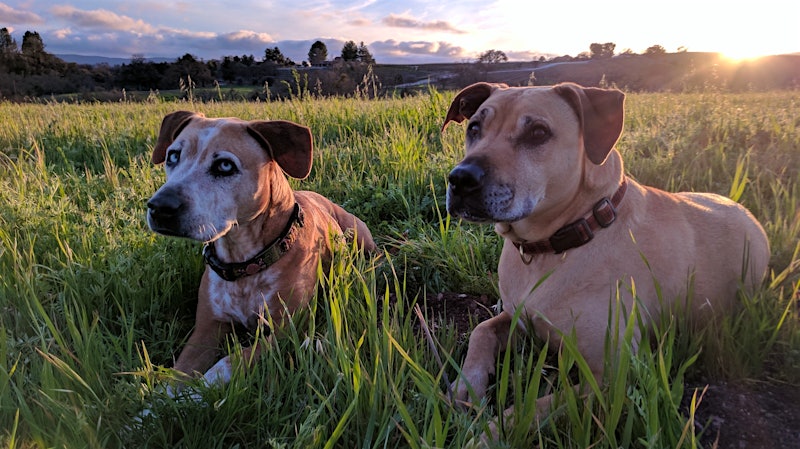 Chloe and Lilly