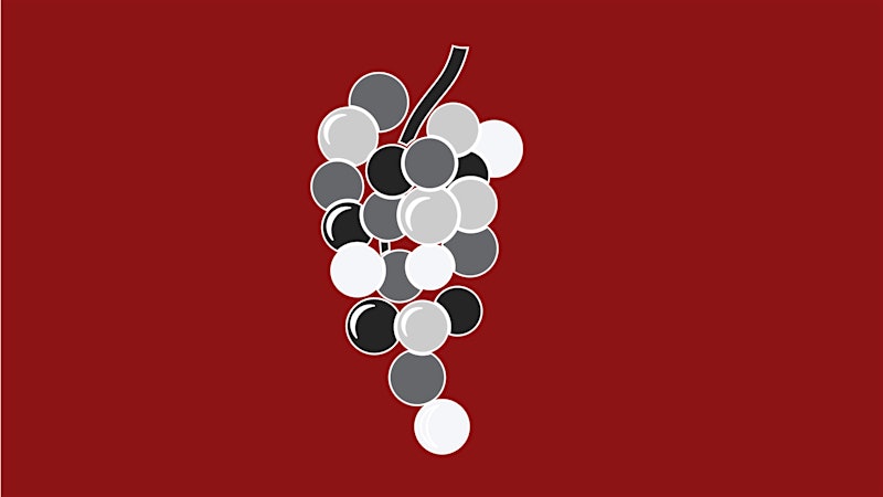 When referring to wine grapes, what is shatter (coulure)?