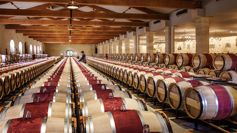 Bordeaux’s 2025 Vintage: Time to Explore