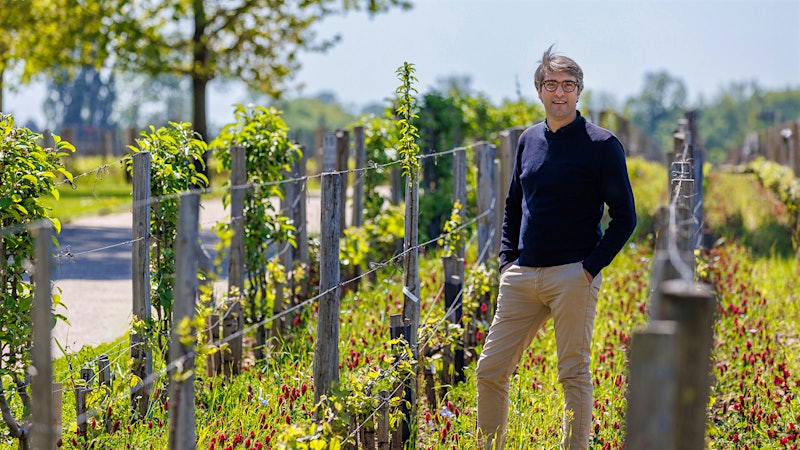 Bordeaux 2025 Futures Pricing and Analysis: Cheval Blanc and Others Start the Campaign