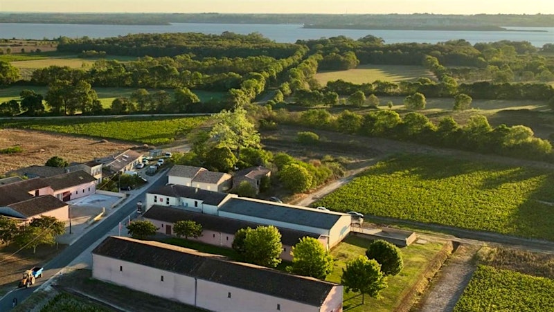 Israel's Flam and Tzora Wineries Buy in Bordeaux