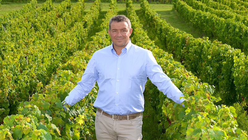Angelini Wines Buys Majority Stake in Umbria’s Arnaldo Caprai