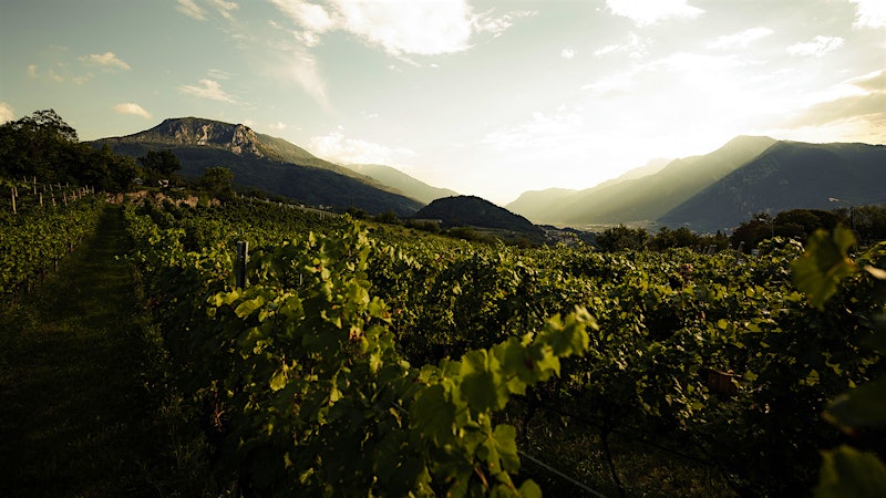 For the Gold, I’m Sipping Italian “Mountain Bubbles”