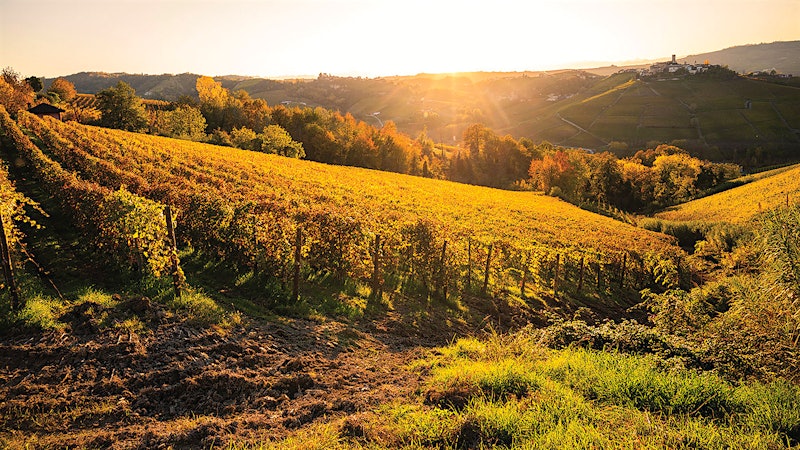 Alphabetical Guide to Piedmont