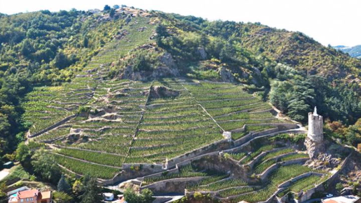 Guigal, Master of the Northern Rhône, part 2: St.-Joseph
