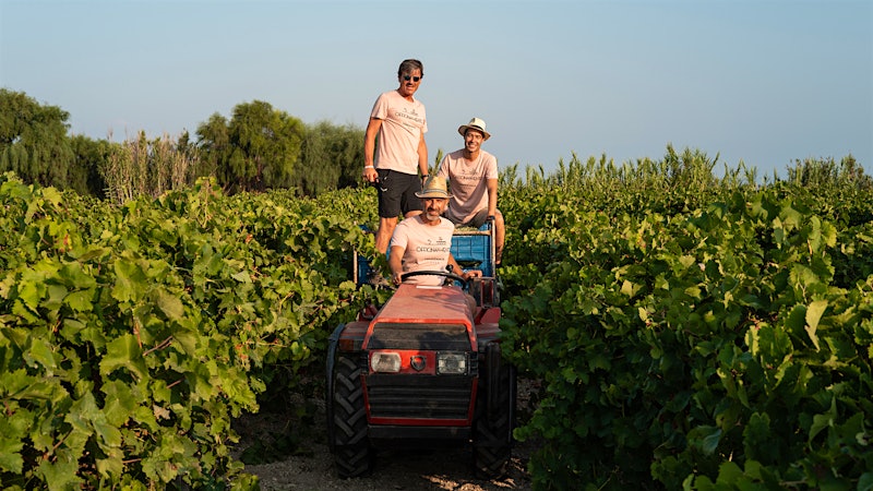 Italy’s Three Musketeers and Their Island Wine