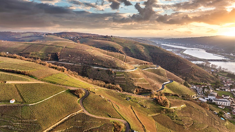 The Rhône’s Sweet Spot