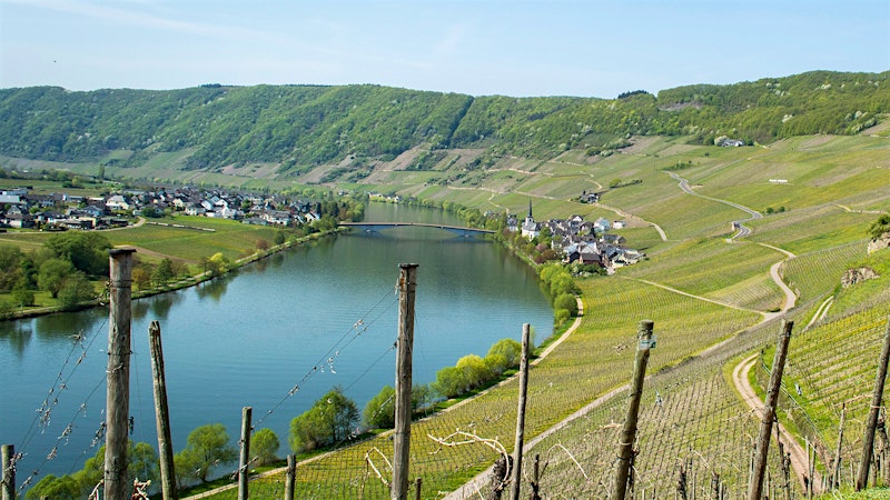 The Weightless Magic of the Mosel