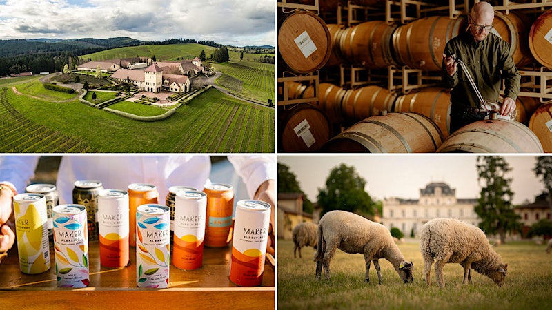 Our Top Tasting Reports of 2025