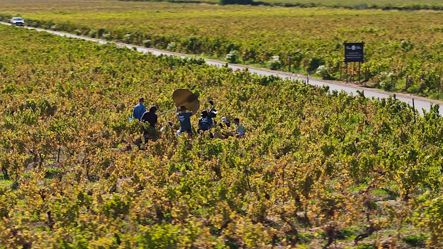 Jack Kauffman and his crew exploring a vineyard at Viña Casa Silva in Colchagua Valley