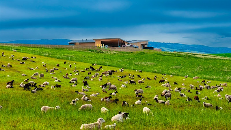 Alphabetical Guide to Washington Wines