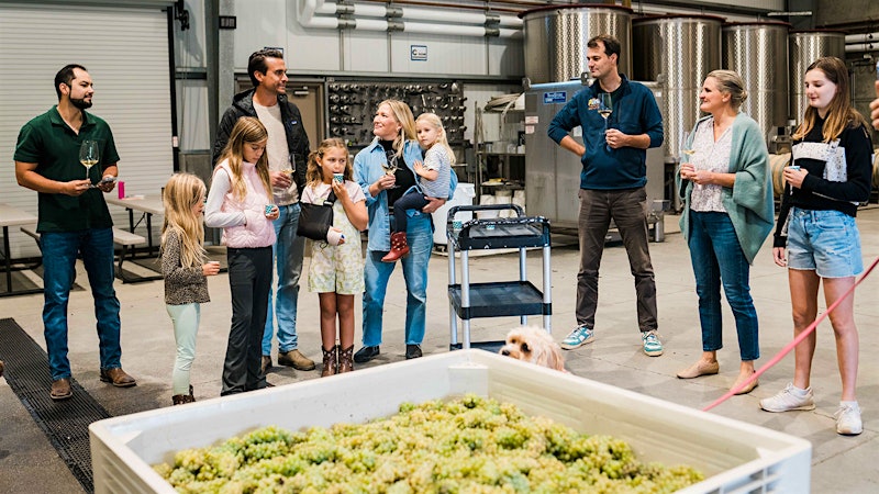 Alphabetical Guide to California Sauvignon Blanc