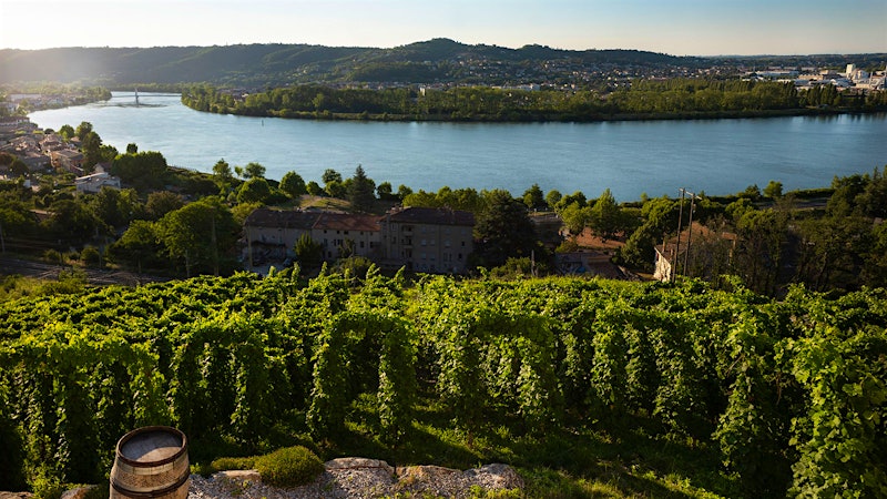 This white is pure and generous with apricot, pear, beeswax and mineral notes … Play the game!