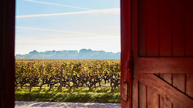 This white is rich and honeyed with marzipan, mango and bitter orange notes … Play the game!