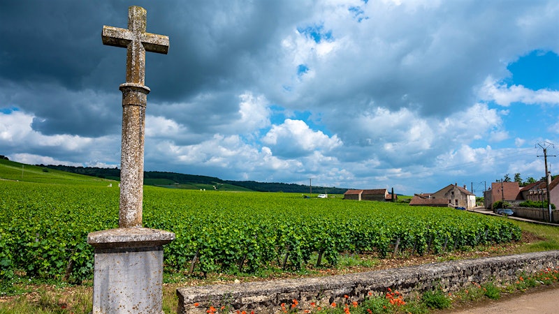 Domaine de la Romanée-Conti 2023: Harnessing Nature’s Generosity