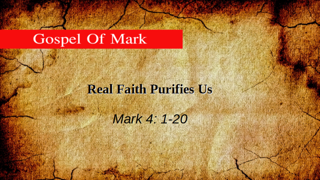 Real Faith Purifies Us (Mark 4: 1-20)