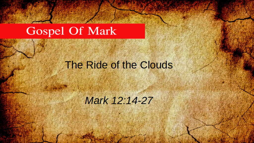 Awake (Mark 13:28-37)